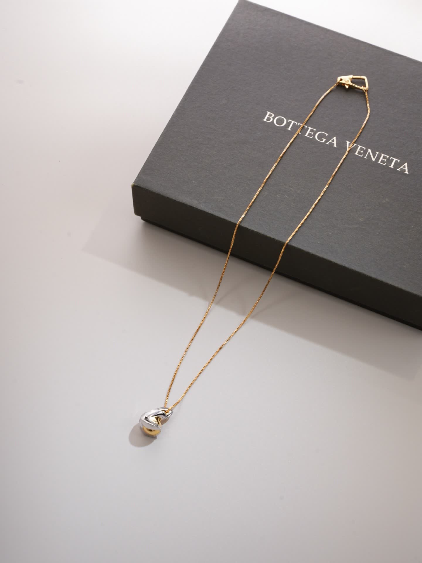 Bottega Veneta Gold & Silver Necklace